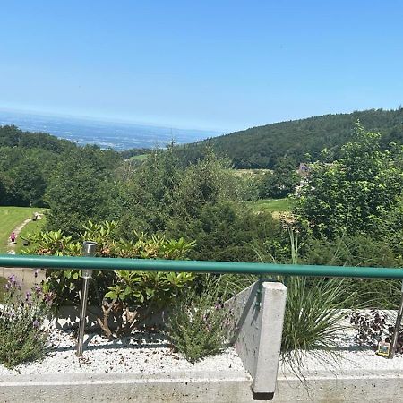 Ferienwohnung Talblick 萨巴赫瓦登 外观 照片